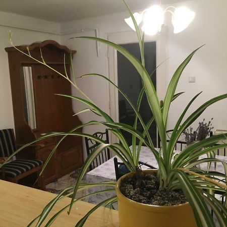 Levendula Apartmanhaz Lägenhet Sümeg Exteriör bild