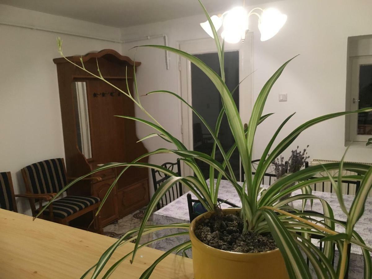 Levendula Apartmanhaz Lägenhet Sümeg Exteriör bild